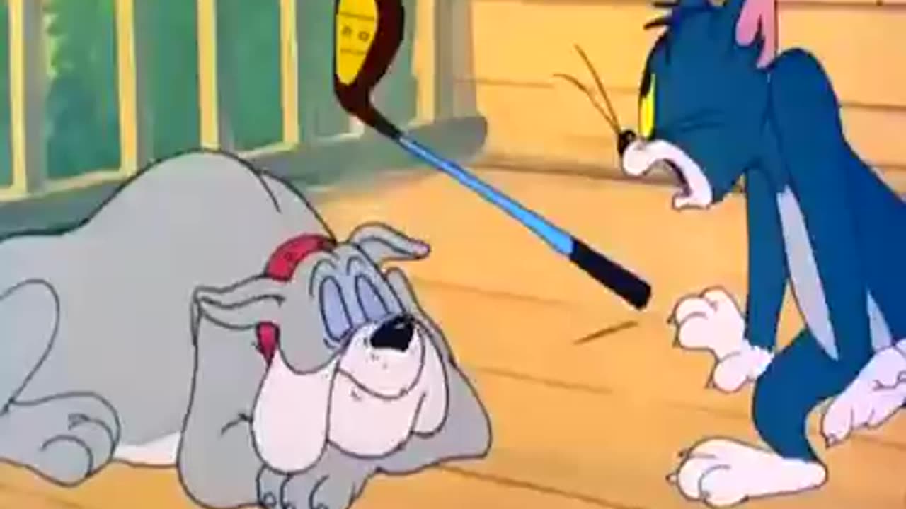 Tom and jarry funny vidieo