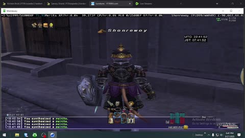 Playing Final Fantasy XI Online