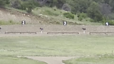 1123 yards, 6.5 PRC with 144 gr Berger...