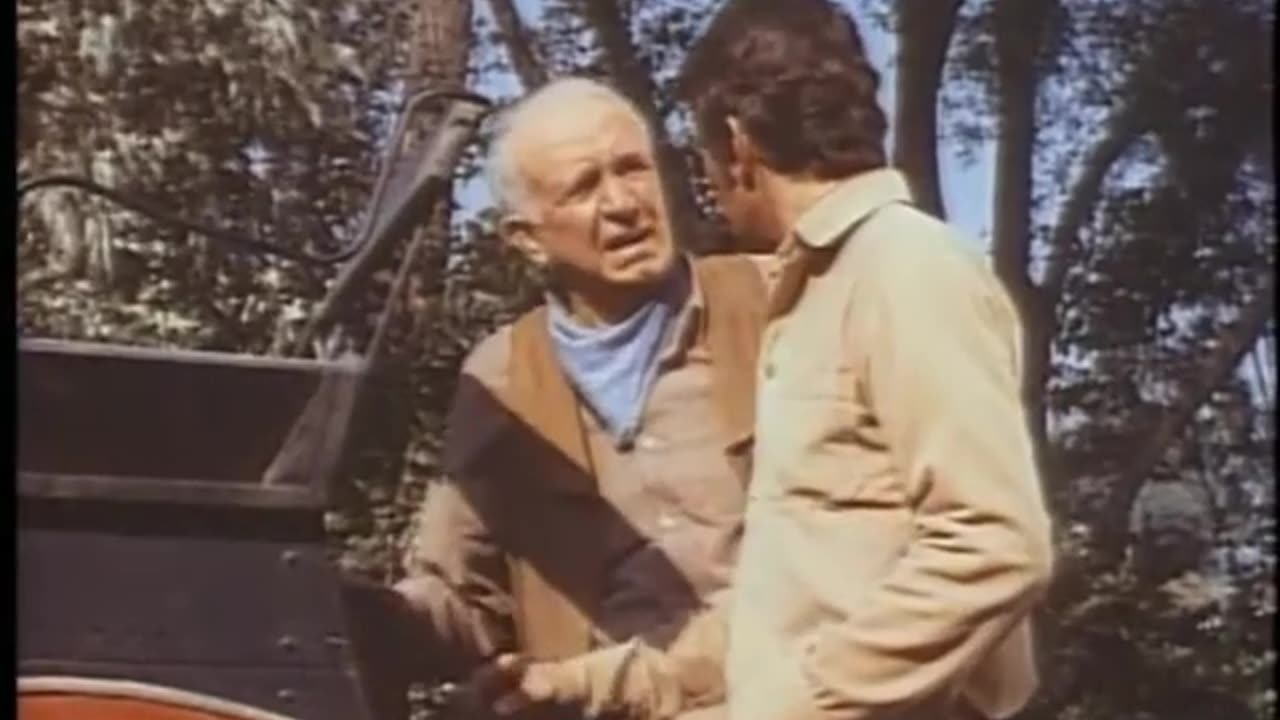 WILLSONNETTD3 Movie 12 6