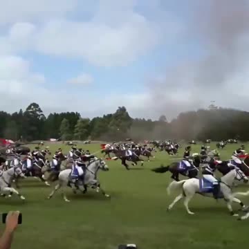 Wild Footage of a "Commemoration of Polish Cavalry Throughout the Ages"