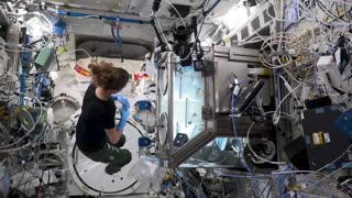 Science Launching on Northrop Grumman's 23rd Cargo Resupply Mission to the Space Station