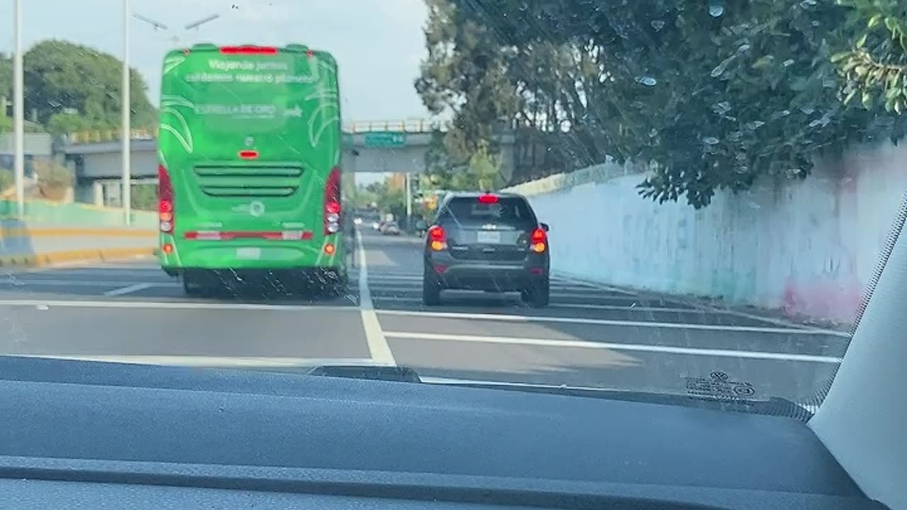Crazy Diver on the Cuernavaca Highway