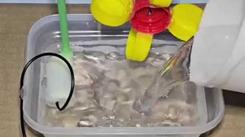 Viral: Science project for class 7th students working model easy science exhibit
