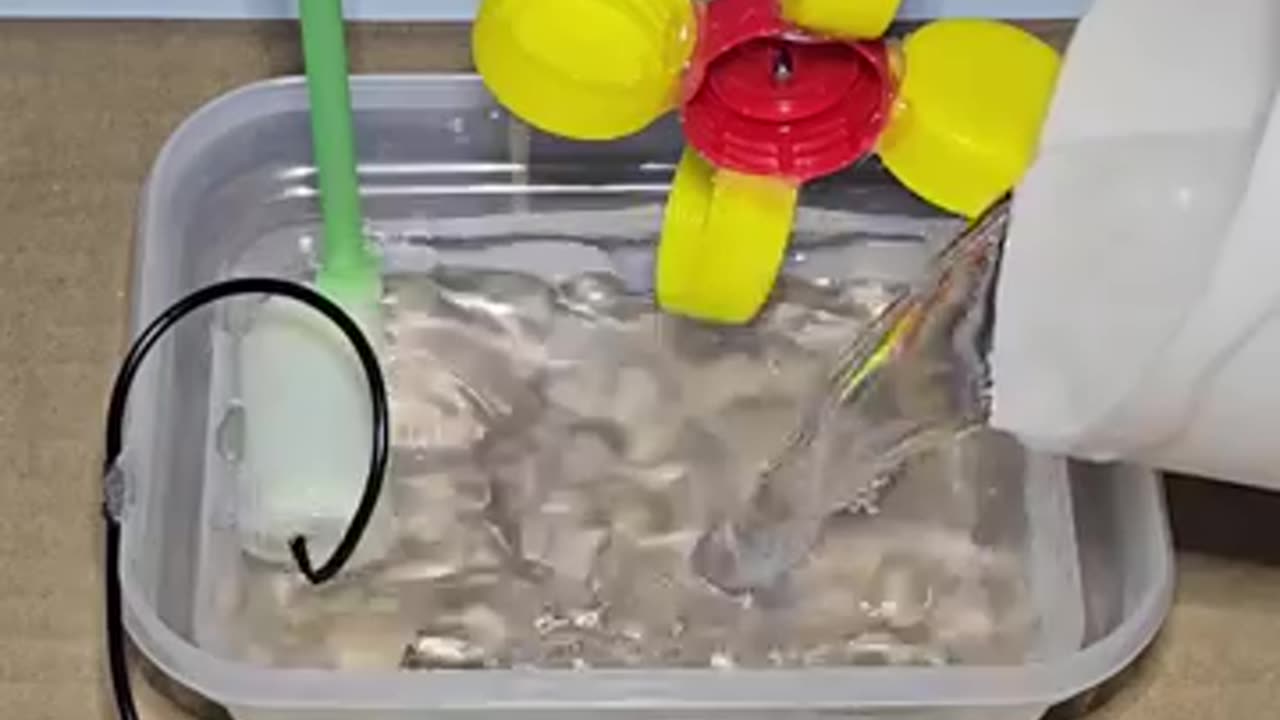 Viral: Science project for class 7th students working model easy science exhibit