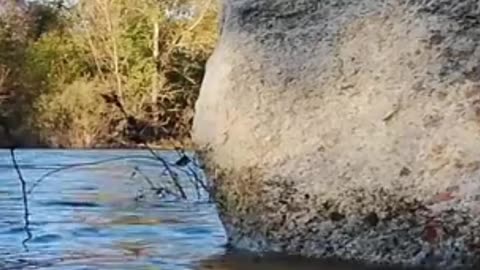 😊 192 TU PALABRA CREA CAMINOS DE ABUNDANCIA Salmo 107:20 😊