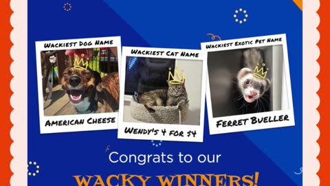 Zoom Cat, Toads Checkups, Wendy’s 4 for $4: This Week Was Wild