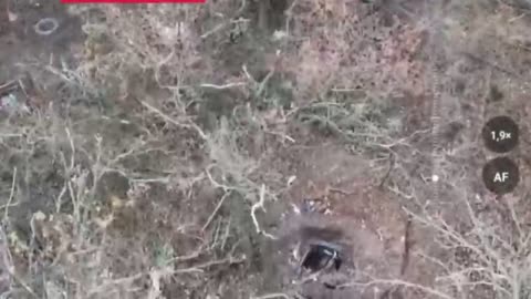 Ukraine war combat /related footage 11/12/2025