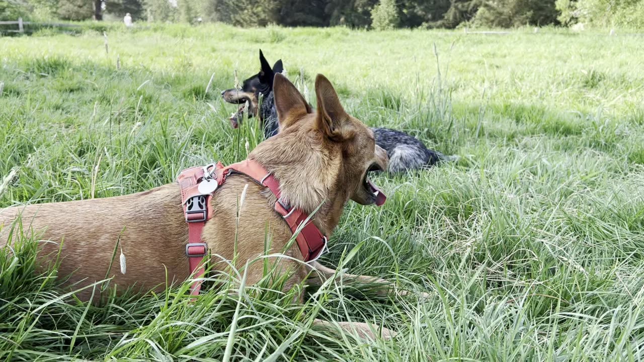 catching our breath 329843209843209