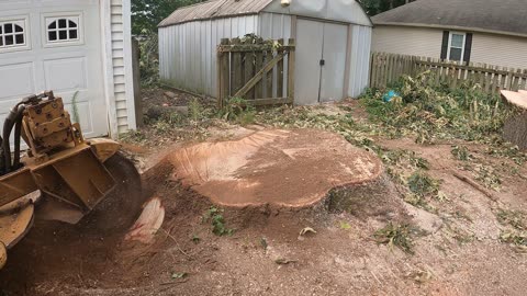 Stump Grinding Two Monsters in a Tight Spot!