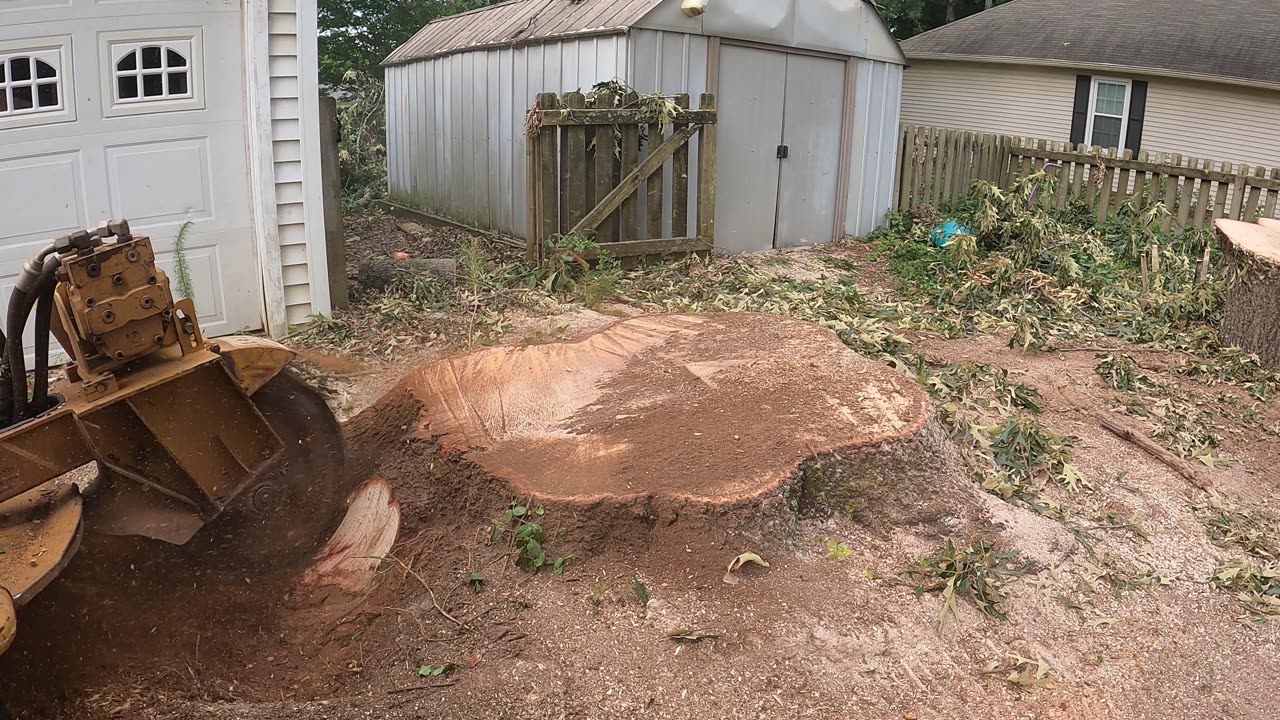 Stump Grinding Two Monsters in a Tight Spot!