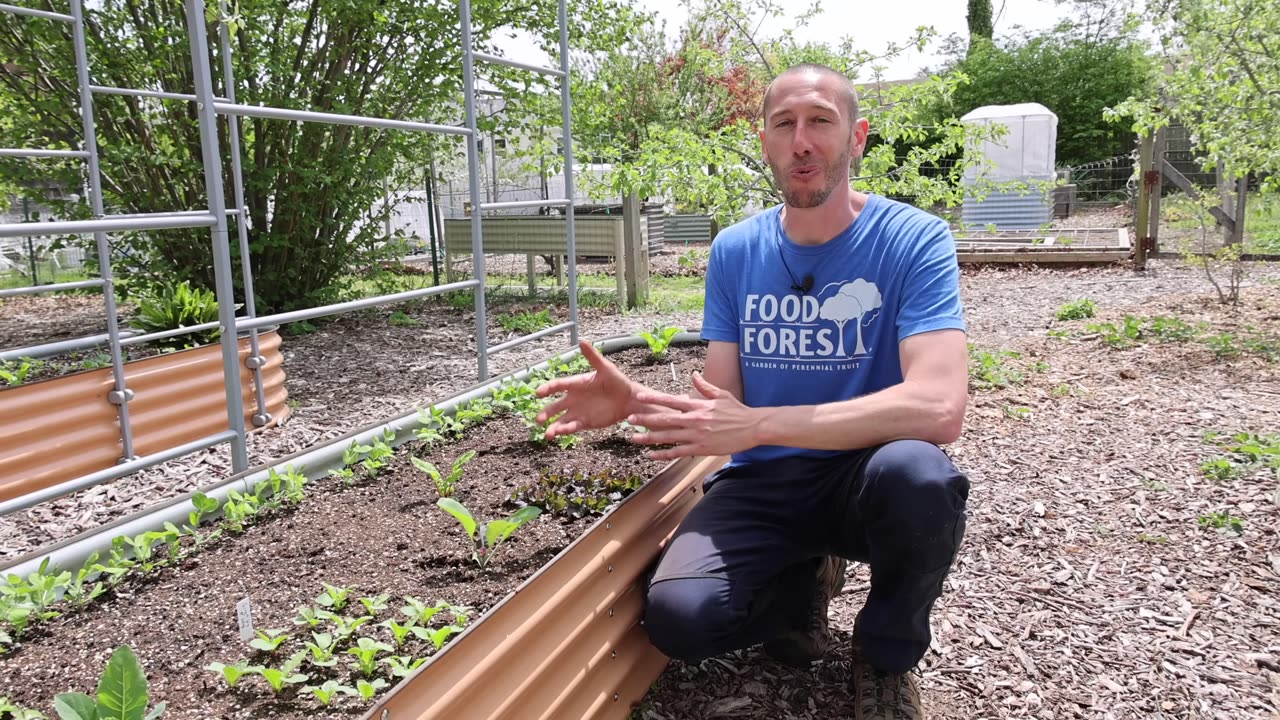 1 Scoop = Explosive Plant Growth! The Garden Hack You Need to Try!