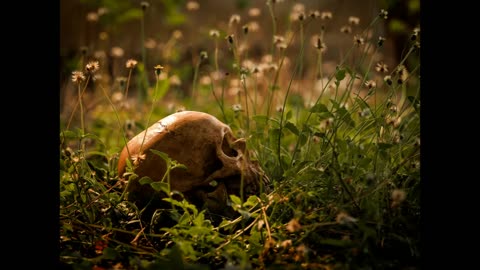 Lord Winter - Life or Death