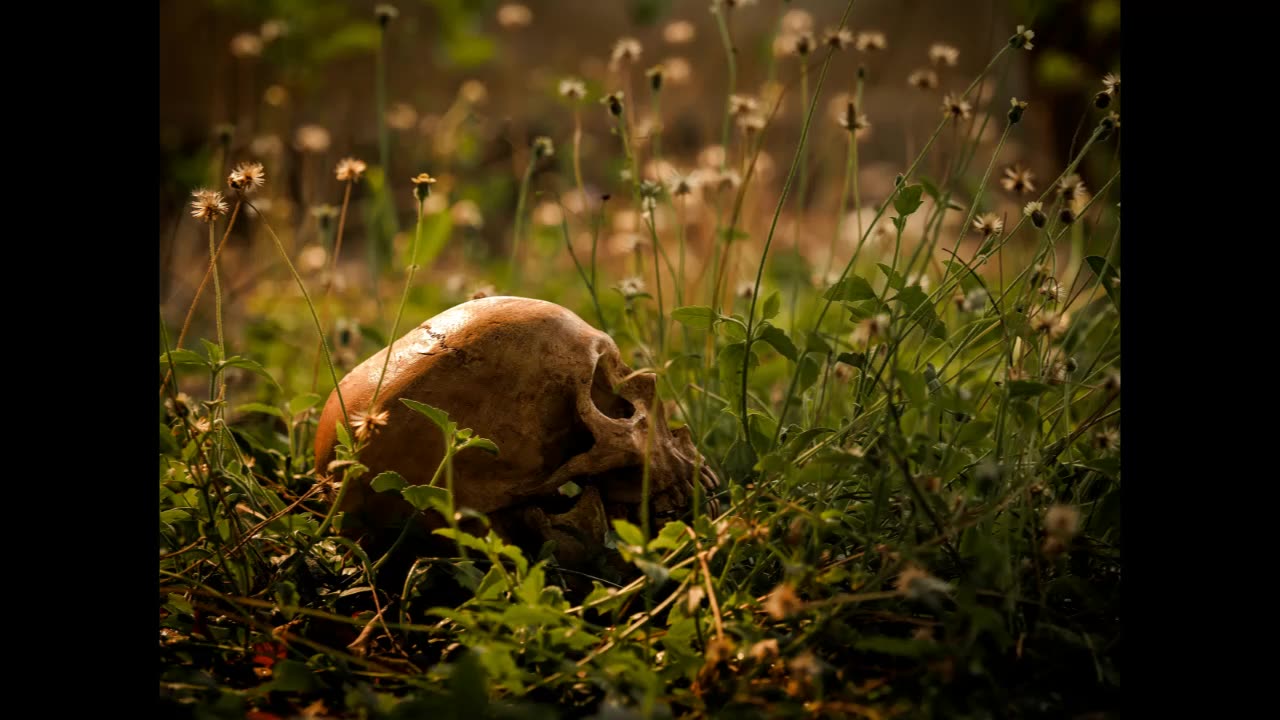 Lord Winter - Life or Death