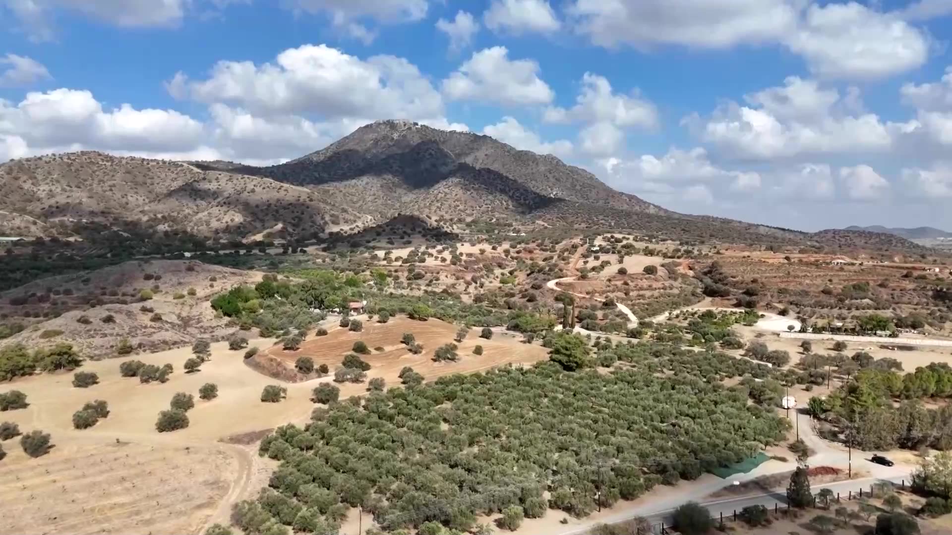 Olive oil with a kick produced for athletes seeking an edge