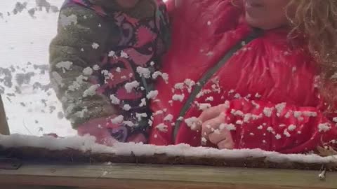 Granddaughter Is Not a Fan of Snow