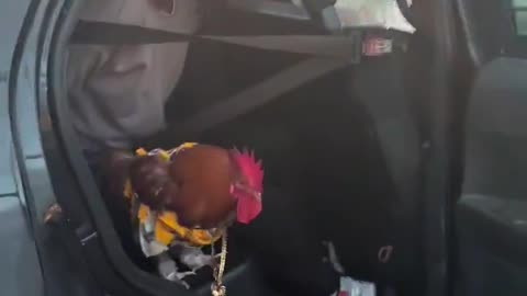 Dindu Nuffin