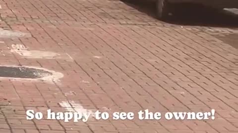 So happy to see the owner