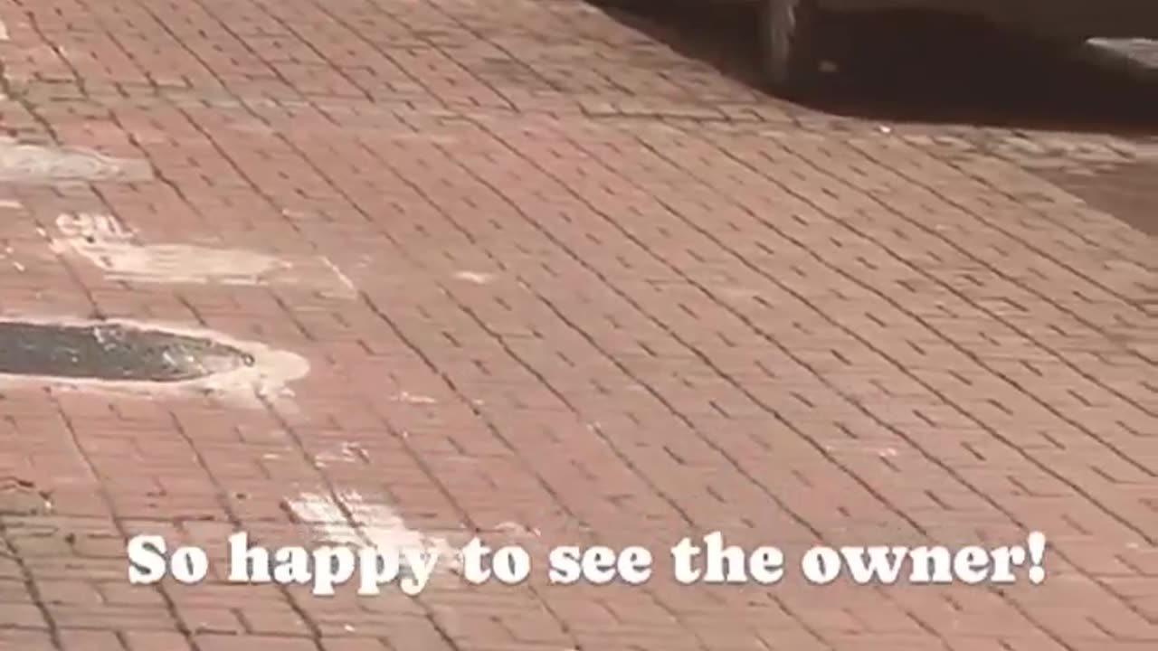 So happy to see the owner