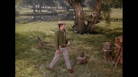 Bonanza - Springtime