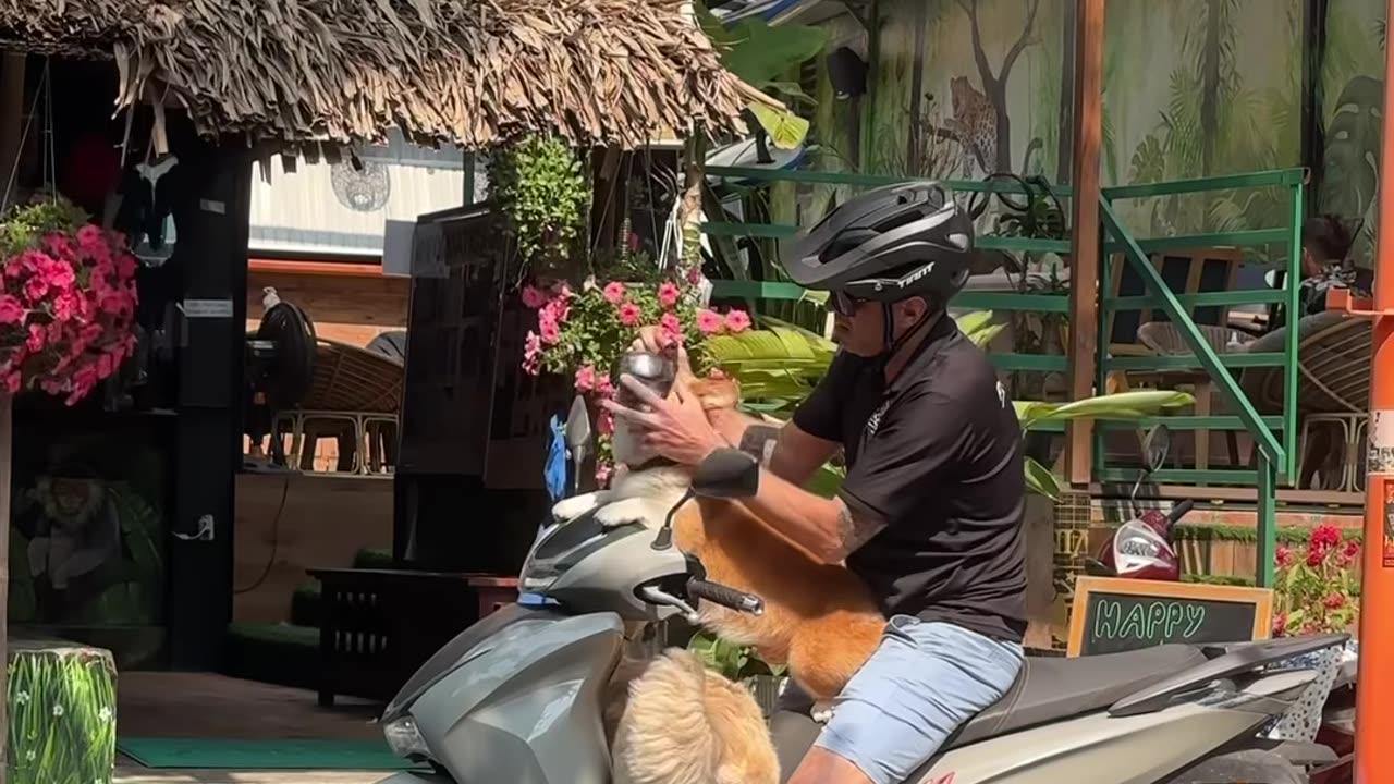 So cute!!! They all know their positions 😂🤡