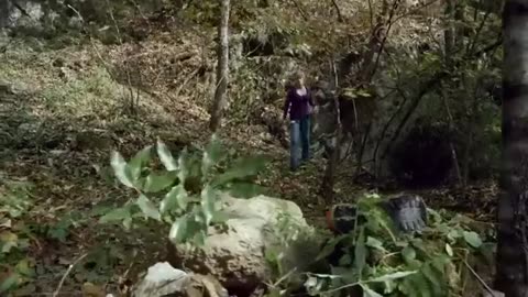 Epic Adventure Awaits | Journey to the Forbidden Valley | Action Adventure Movie