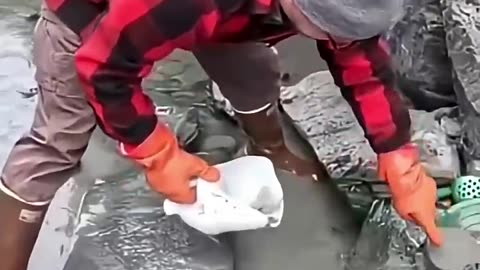 Gold Panning