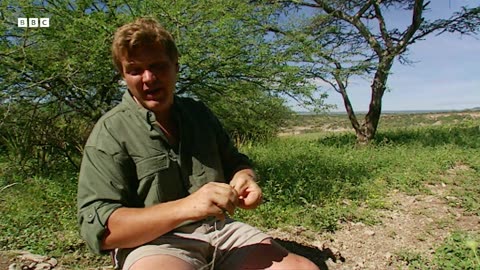 Ultimate Survival Skills from Bushcraft Legend Ray Mears | BBC Earth Explore