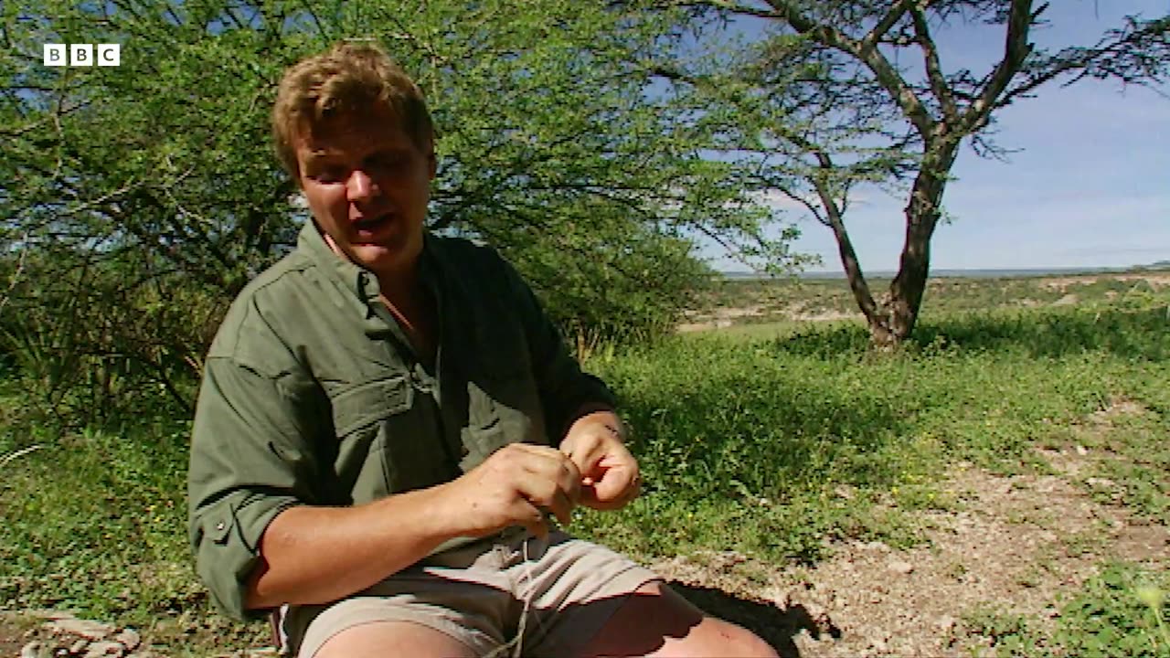 Ultimate Survival Skills from Bushcraft Legend Ray Mears | BBC Earth Explore