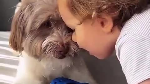 Unconditionally love of a dog