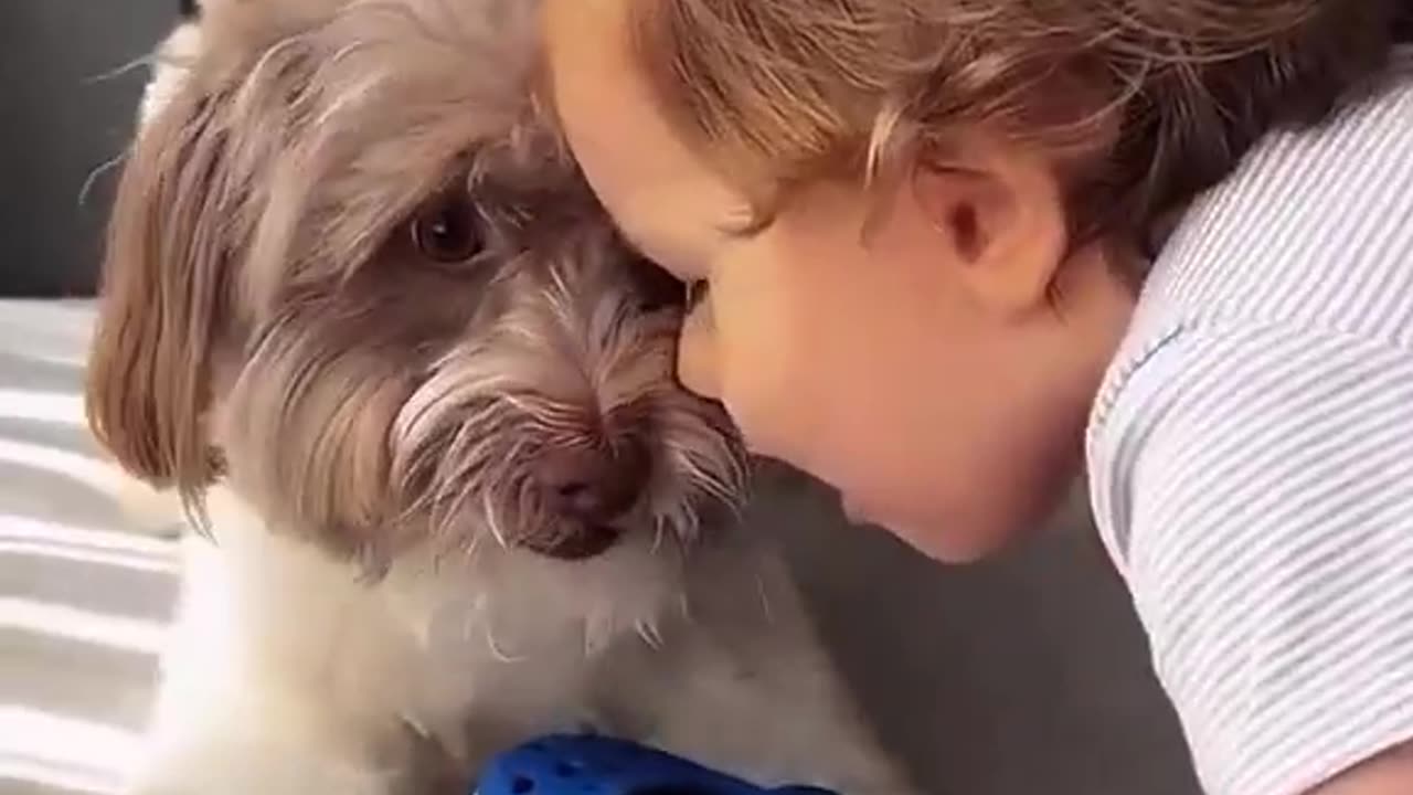 Unconditionally love of a dog