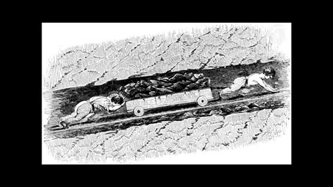 Putting Blacks 'at the Very Center' of American History