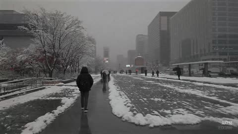 Đường phố Hàn Quốc 한국 거리 22102025 25