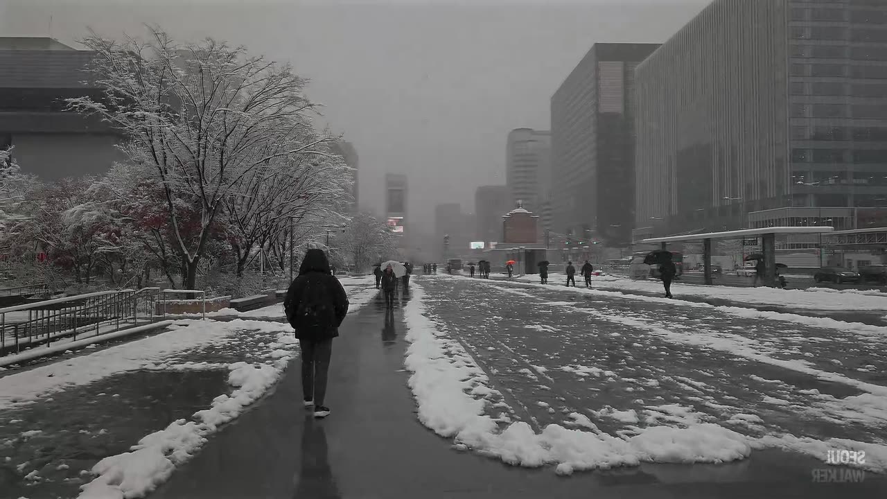 Đường phố Hàn Quốc 한국 거리 22102025 25