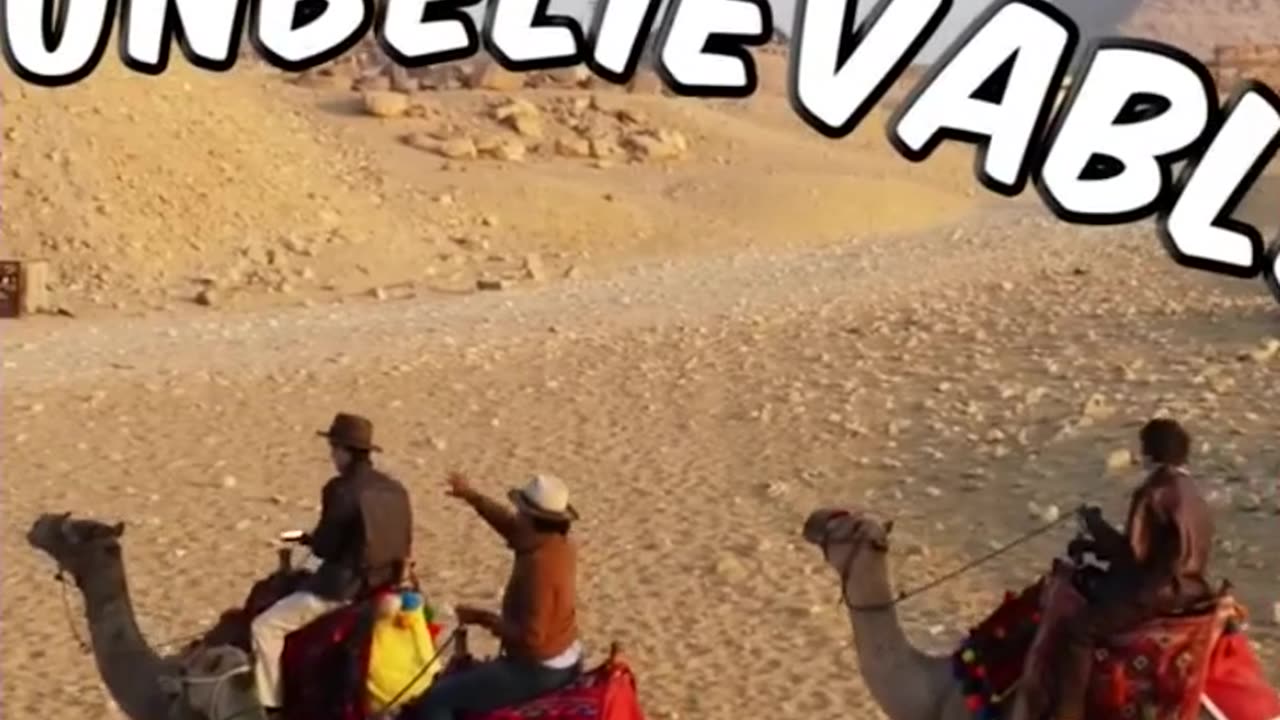 Have you ever been bitten by a camel,? It hurts