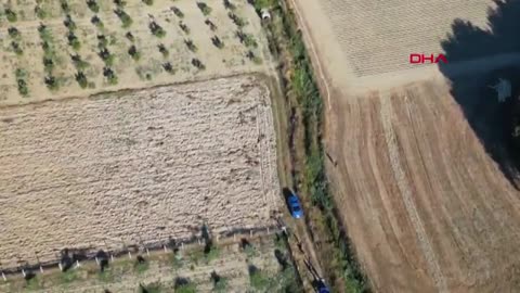 Luani arratiset nga kopshti zoologjik në Turqi dhe sulmon njerëzit