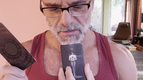 "A new chapter for the Empress" Tarot Vibes Nov. 20th 2025 Love Light & Joy Tarot by Adam Keith