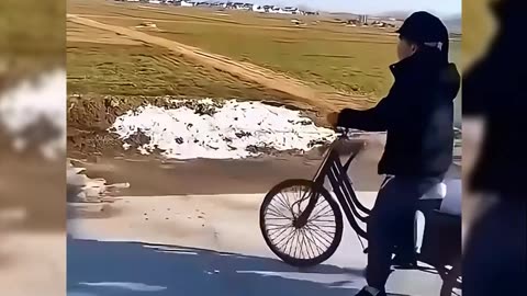 Funny Video Compilation