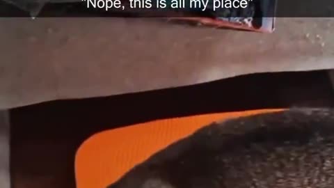My Spot