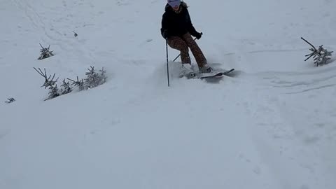 Skier Crashes Into Plant and Crashes