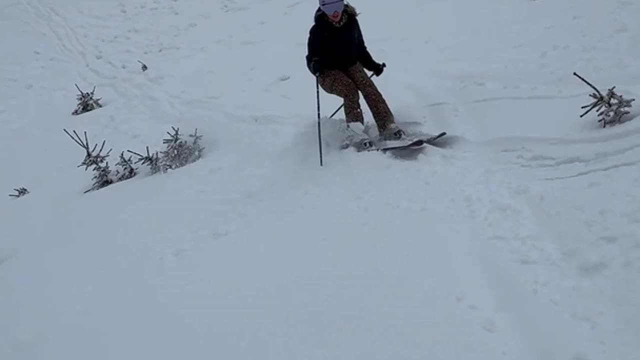 Skier Crashes Into Plant and Crashes
