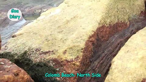 Colomb Beach Full Video