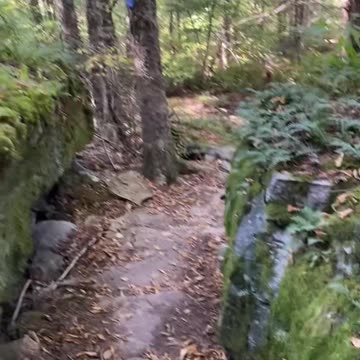 THIS FEELS LIKE A MOVIE SET!