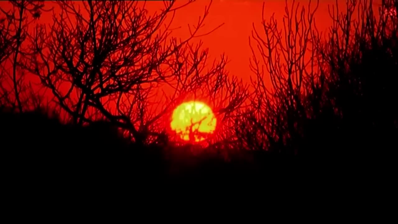 What A Weird Evening 🥴 _ Dinner Date (480p)