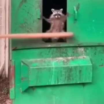 😂 Hilarious Animal Fails Caught on Camera! (Try Not to Laugh)