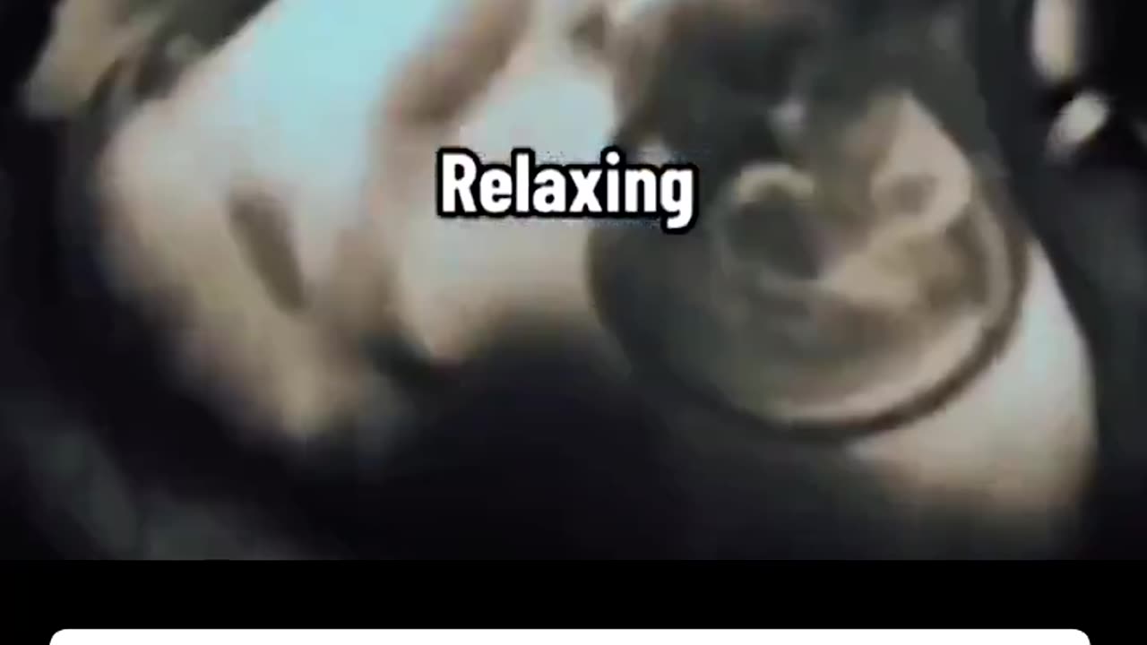 WHAT BABIES DO IN THE WOMB