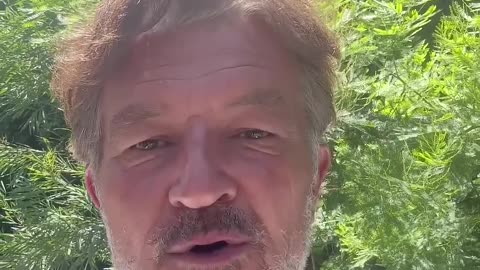 urgent cette république, reine des cadavres !