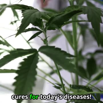 What if...Antarctica Melts!?