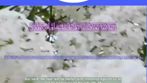 40 Rabbana Duas (Dua no 29)