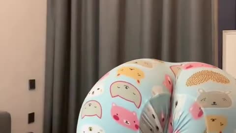 Latina Queens Twerking their Big Butts